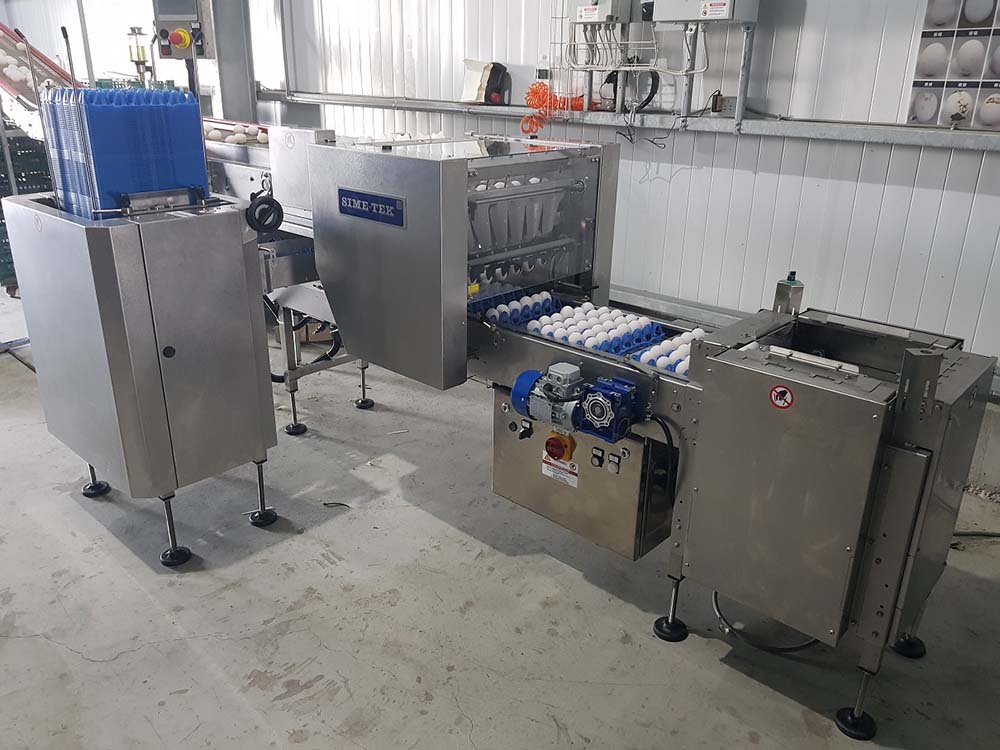 彰化蛋雞場(1)-自動上盤機20