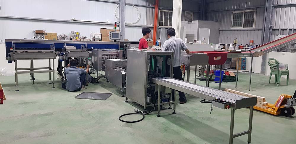 彰化蛋雞場(3)-自動分級機30+上盤機30