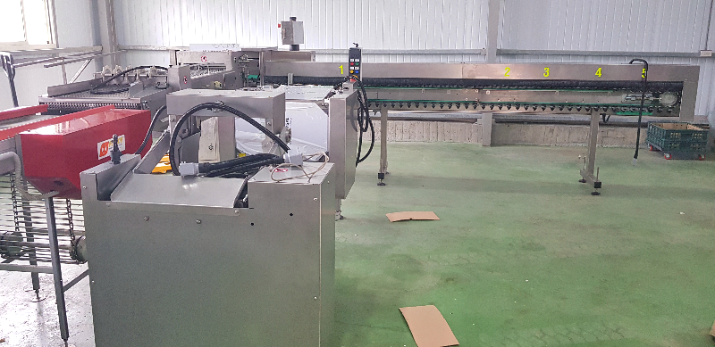 彰化蛋雞場(5)-自動分級機20+上盤機20