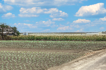 彰化蛋雞場B-歐式C3 MAX動物福利籠
