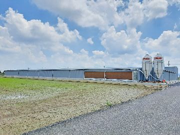 台南蛋雞場C-平飼蛋雞成套設備