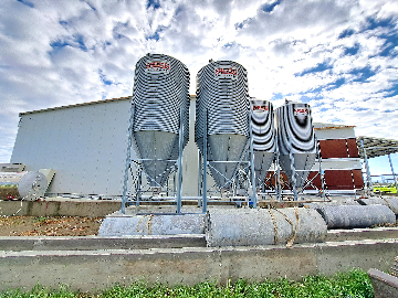 彰化蛋雞場E-歐式C3 MAX動物福利籠