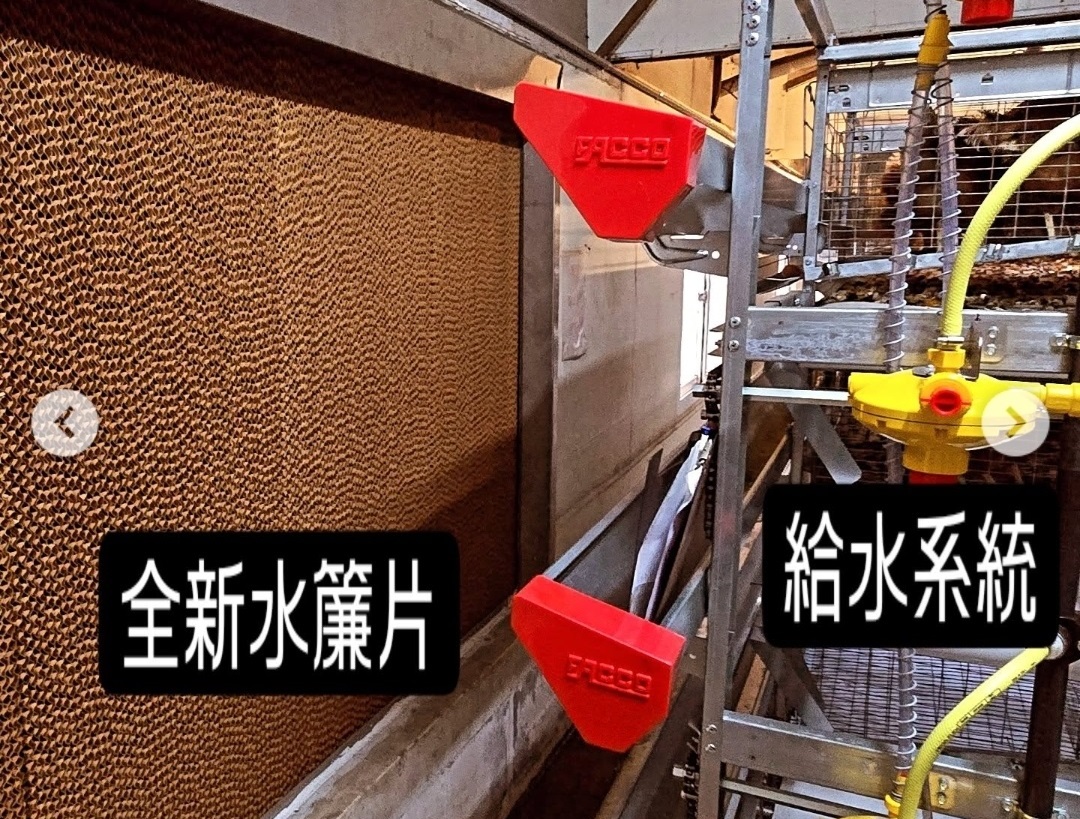 屏東農校教學蛋雞場 - C3 直立式蛋雞籠