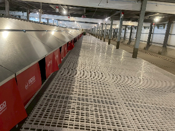 雲林肉種雞場L - 歐式中央集蛋箱