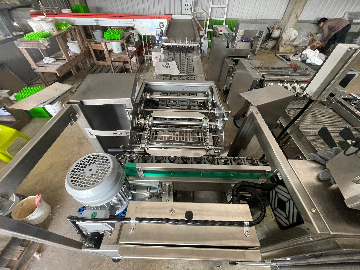 嘉義蛋雞場(11)-自動分級機20+上盤機20