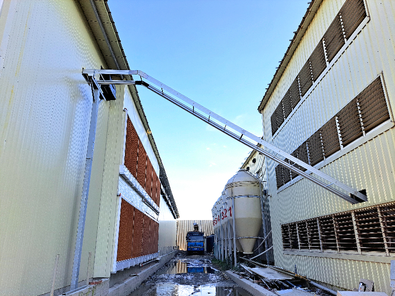 雞舍側面-總蛋帶