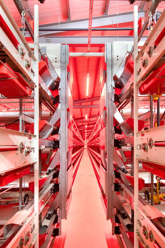 天車及清潔毛刷