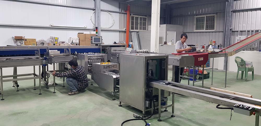 固定校正手動收蛋桌