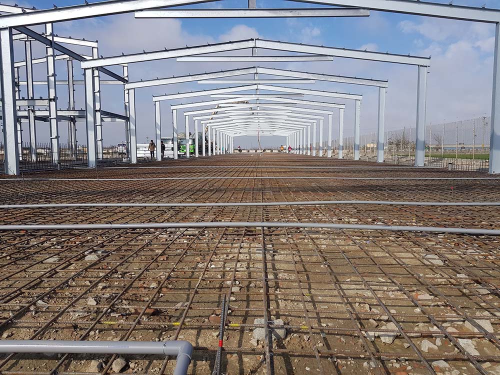 雞舍結構(低視角)