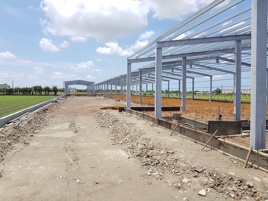 鋼結構完成(側視角)