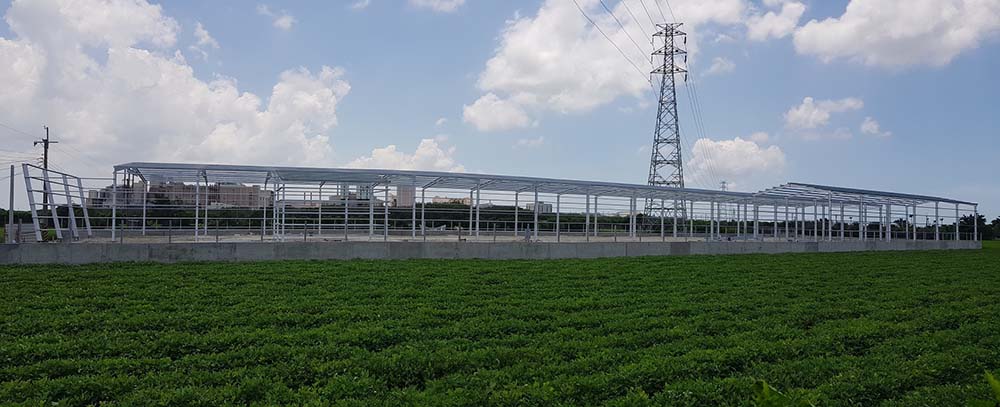 鋼構組立完成(側視角)