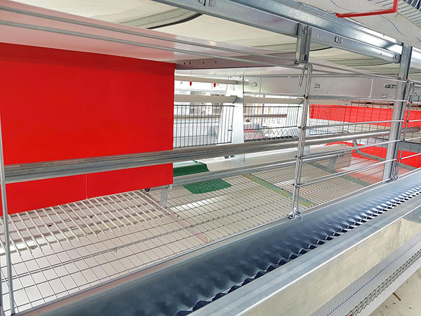 歐式C3動福籠 歐式C3動福籠