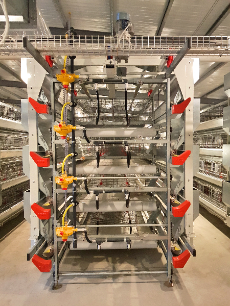 P80蛋中雞籠 P80蛋中雞籠