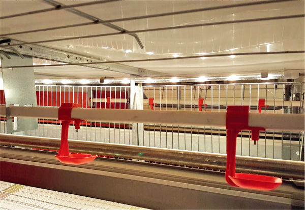 LIBERA非籠養系統